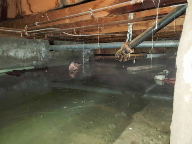 Best 24/7 water damage repair  in Village Of The Branch, NY
