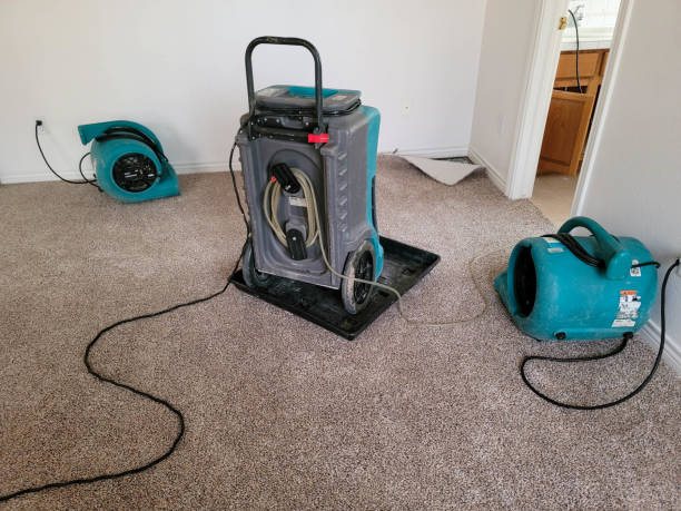 Best Commercial water damage restoration  in Village Of The Branch, NY