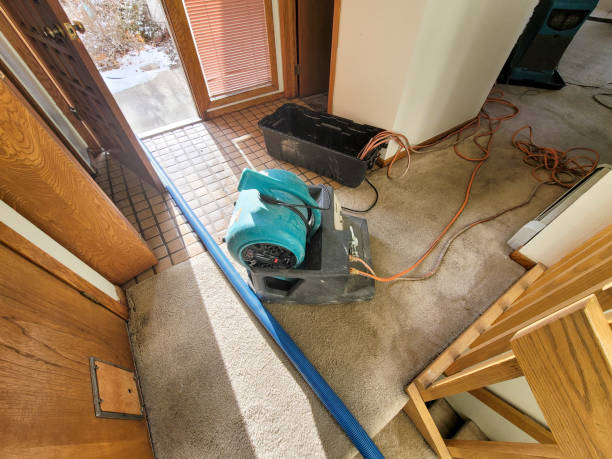 Best Emergency water damage restoration  in Village Of The Branch, NY