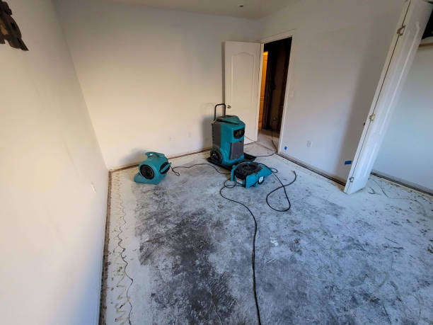 Professional Water damage restoration in Village Of The Branch, NY