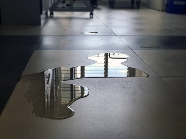Best Water damage restoration near me  in Village Of The Branch, NY