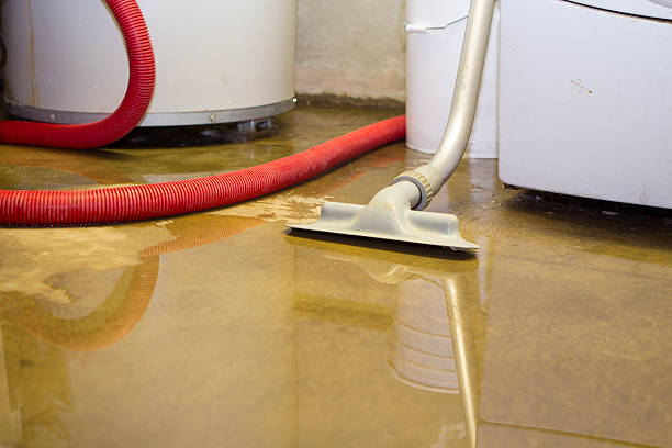 Best Residential water damage restoration  in Village Of The Branch, NY