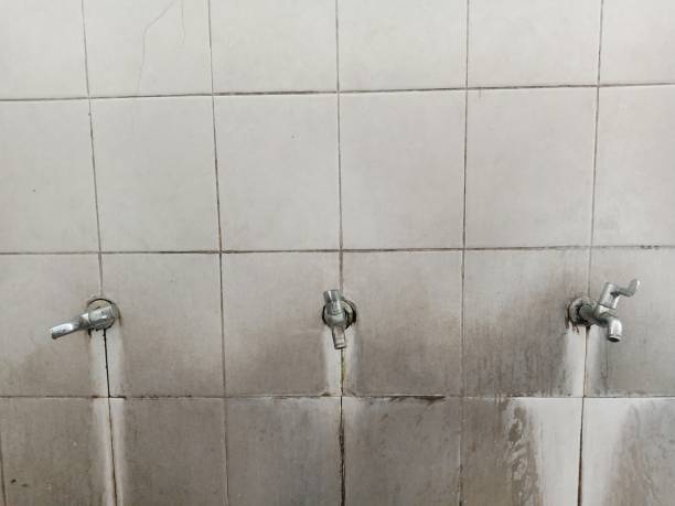 Water damage restoration insurance claims in Village Of The Branch, NY