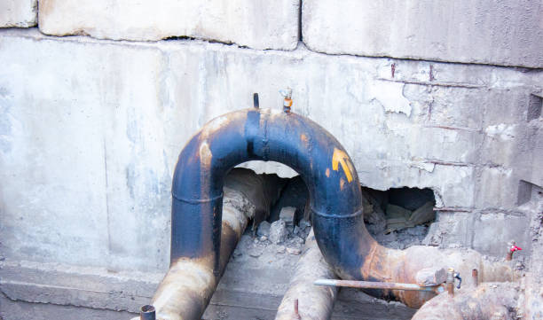 Best Professional water damage repair  in Village Of The Branch, NY