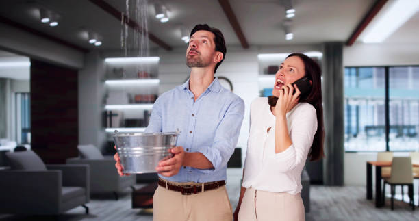  Village Of The Branch, NY Water damage restoration Pros